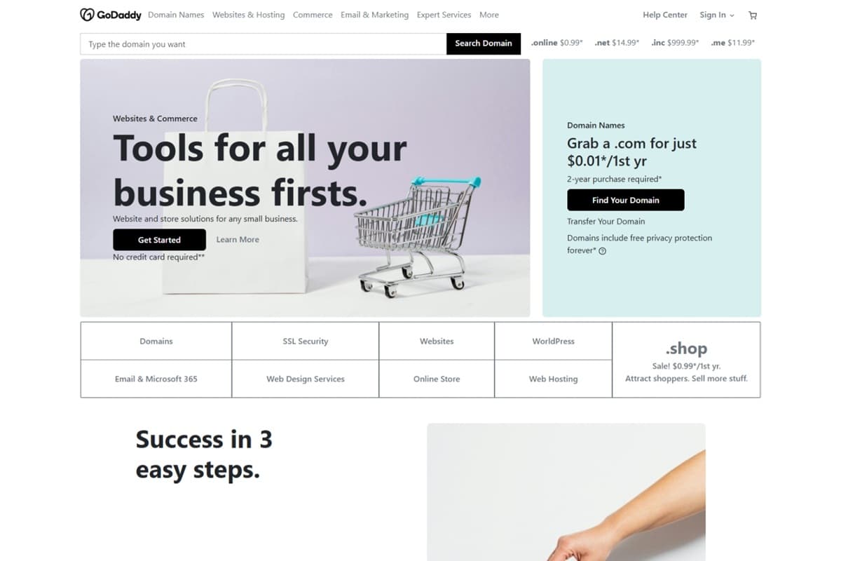 GoDaddy page example